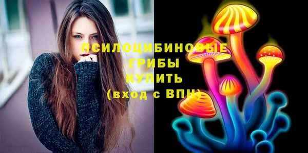 а пвп мука Алзамай